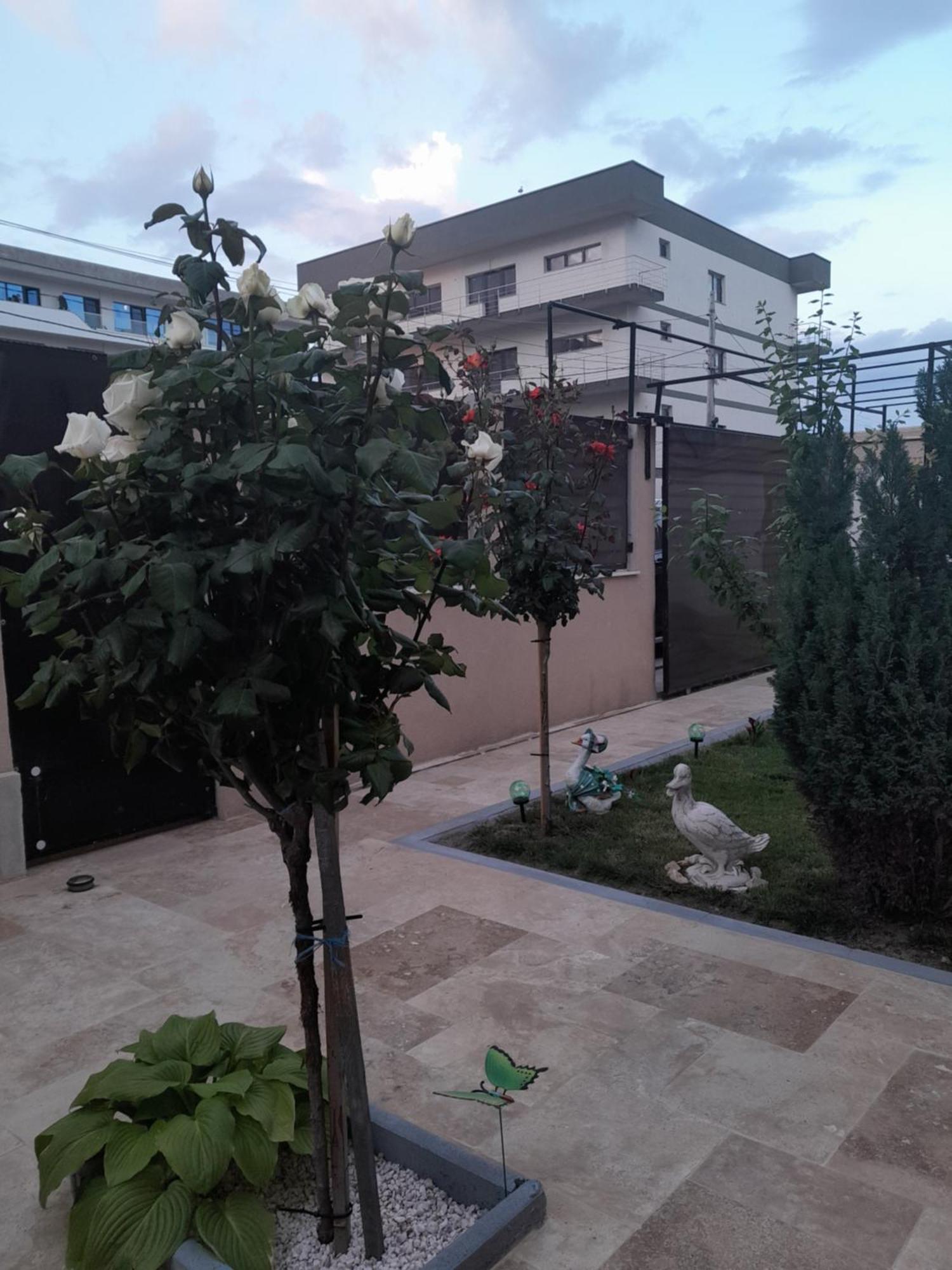 Ferienwohnung Casa Andrei Năvodari Exterior foto
